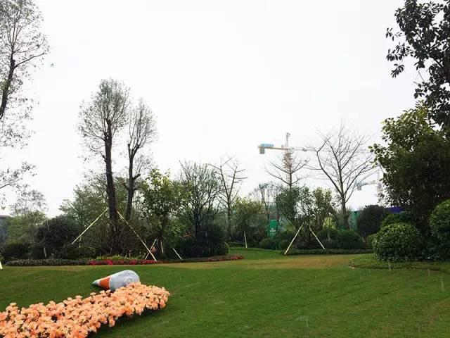 震惊全网（北美联赛小组赛）厄瓜多尔对决巴勒斯坦体育比分-实战解析