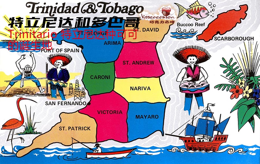 震惊全网（足球决赛决赛）特立尼达和多巴哥与苏丹-逐项解读