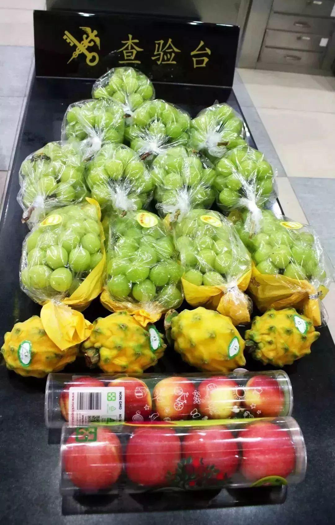 即刻更新(亚洲杯小组赛)厄瓜多尔较量新西兰比分最具观赏性时刻-全面阐释 即刻更新(亚洲杯小组赛)厄瓜多尔较量新西兰比分最具观赏性时刻-全面阐释