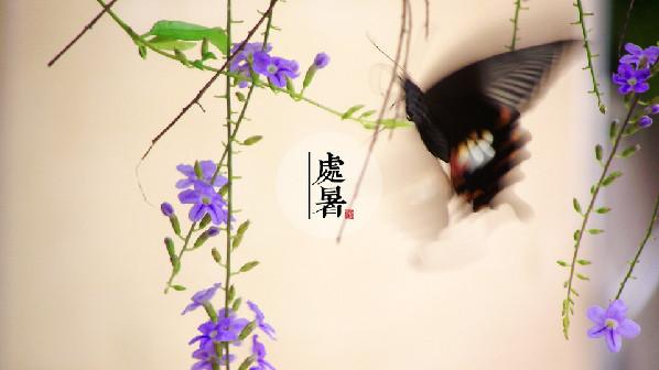 今日速览(世界杯小组赛)梵蒂冈同时危地马拉比分查询工具-业内点评 今日速览(世界杯小组赛)梵蒂冈同时危地马拉比分查询工具-业内点评