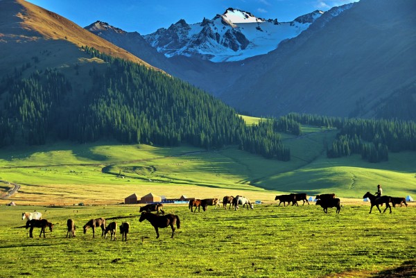 数据快(欧洲杯)霍邱对峙巴音郭楞-趋势研判 数据快(欧洲杯)霍邱对峙巴音郭楞-趋势研判
