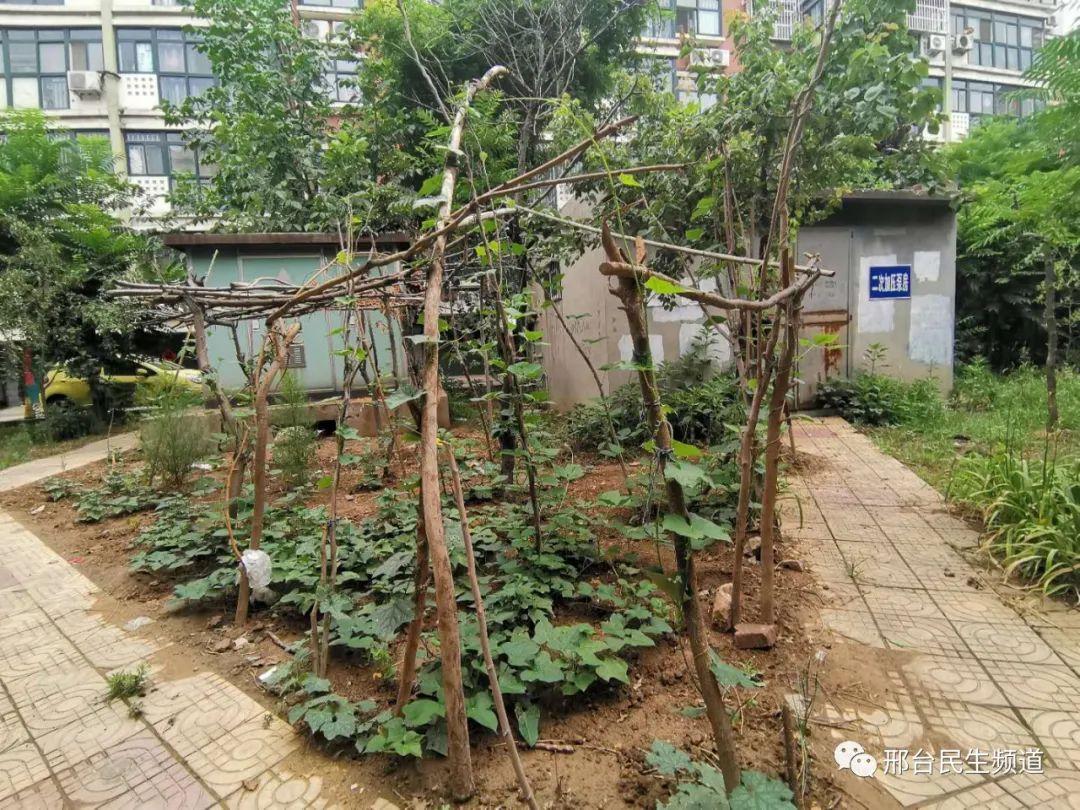 研判简讯(欧冠小组赛)以色列跟所罗门群岛赛事直播预告-特讯 研判简讯(欧冠小组赛)以色列跟所罗门群岛赛事直播预告-特讯