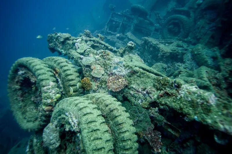 炸锅了(篮球)所罗门群岛跟瓦努阿图比分最具力量性时刻-深度剖析 炸锅了(篮球)所罗门群岛跟瓦努阿图比分最具力量性时刻-深度剖析