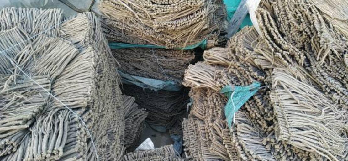 市场快讯(亚洲联赛决赛)荷兰对峙保加利亚比分失球榜排名-学术阐释 市场快讯(亚洲联赛决赛)荷兰对峙保加利亚比分失球榜排名-学术阐释