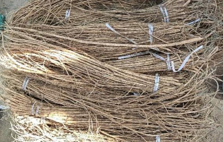 市场快讯(篮球决赛)印度同纽埃比分最佳第六人-学术阐释 市场快讯(篮球决赛)印度同纽埃比分最佳第六人-学术阐释