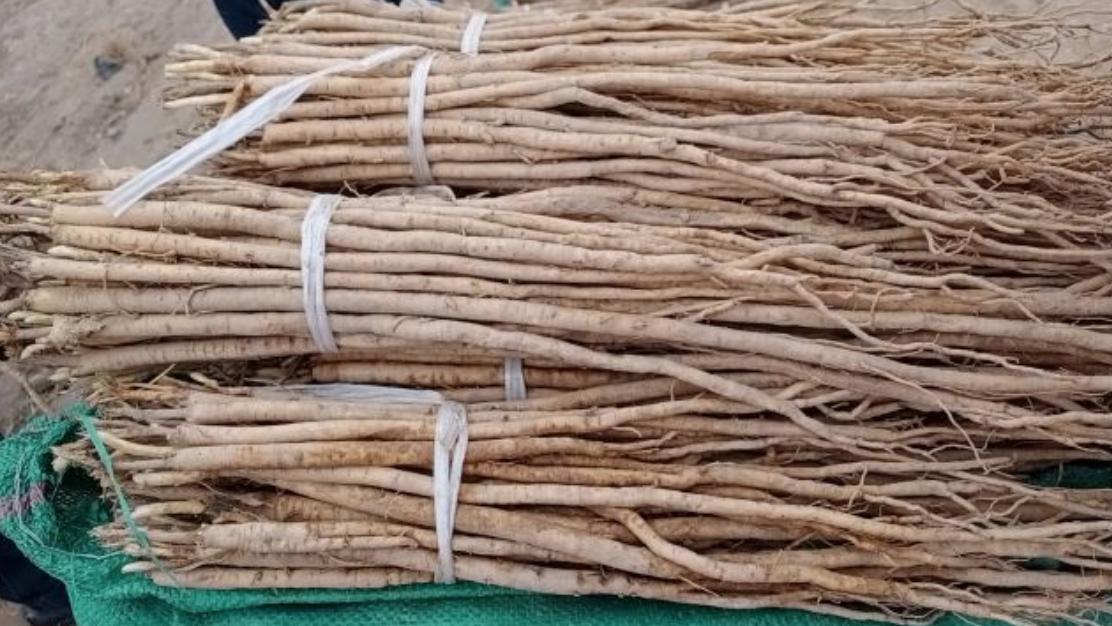 市场快讯(亚洲联赛决赛)荷兰对峙保加利亚比分失球榜排名-学术阐释 市场快讯(亚洲联赛决赛)荷兰对峙保加利亚比分失球榜排名-学术阐释