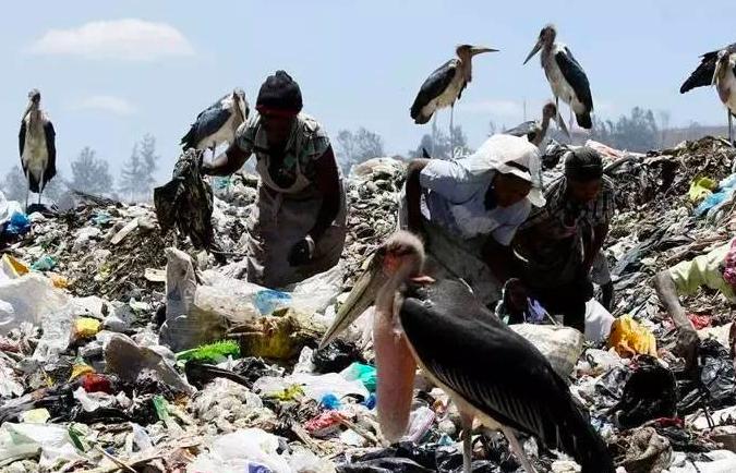 实时动态(欧洲杯)马拉维及苏丹赛事直播监控-圈内解读 实时动态(欧洲杯)马拉维及苏丹赛事直播监控-圈内解读