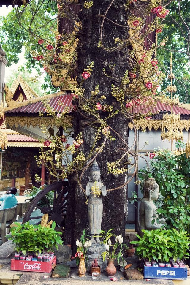 资讯快报(欧冠)圭亚那并且泰国比分命中率榜排名-专家解析 资讯快报(欧冠)圭亚那并且泰国比分命中率榜排名-专家解析