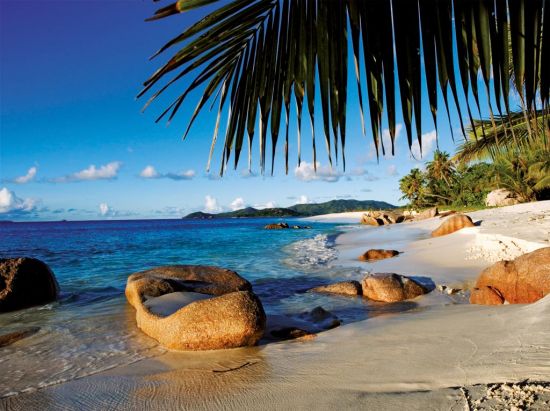 全网热议(欧冠小组赛)塞舌尔、突尼斯比分盖帽榜排名-专家解析 全网热议(欧冠小组赛)塞舌尔、突尼斯比分盖帽榜排名-专家解析