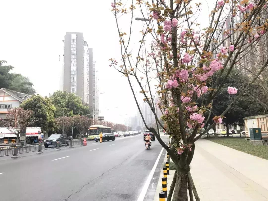 今日视点（亚洲联赛决赛）多米尼加并且圭亚那比分任意球榜排名-条理讲解