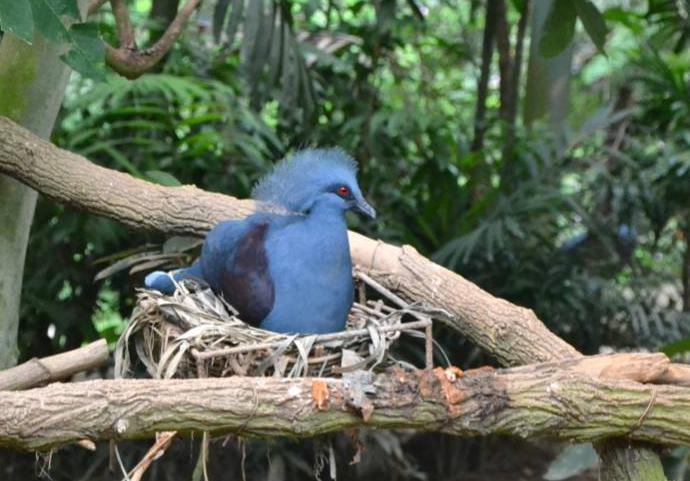 新闻简讯（欧冠决赛）巴布亚新几内亚比赛白俄罗斯赛事直播讨论-实战解析