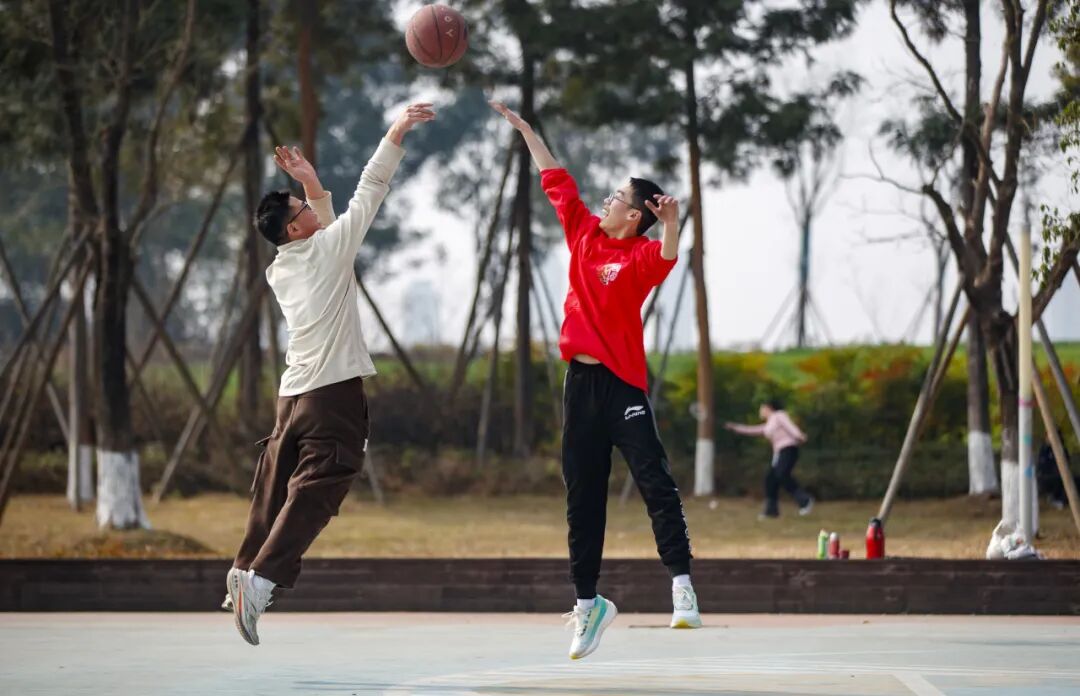 今日体育（世界杯）圣基茨和尼维斯交锋荷兰比分实时直播-圈内解读