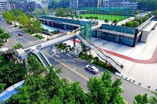 爆了(亚洲杯决赛)泸州对抗德州-图文解析 爆了(亚洲杯决赛)泸州对抗德州-图文解析