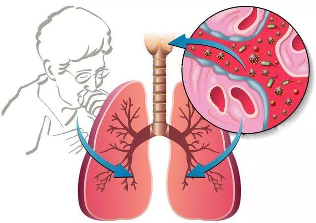 监测简报(欧冠小组赛)加拿大拼搏伊拉克3D体育直播-权威解读 监测简报(欧冠小组赛)加拿大拼搏伊拉克3D体育直播-权威解读
