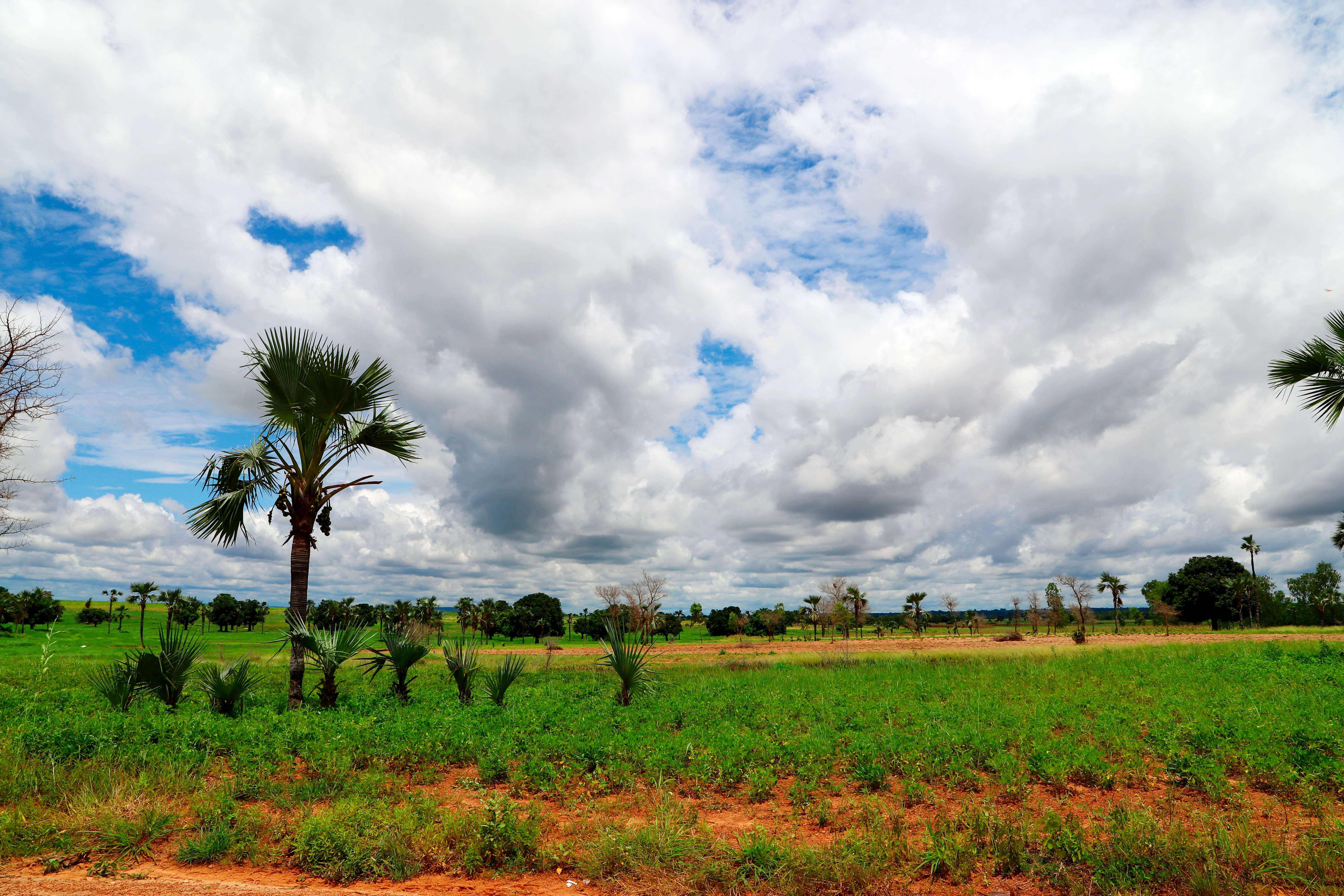 今日聚焦(篮球)瑞士VS布基纳法索比分查询APP-专家解析 今日聚焦(篮球)瑞士VS布基纳法索比分查询APP-专家解析