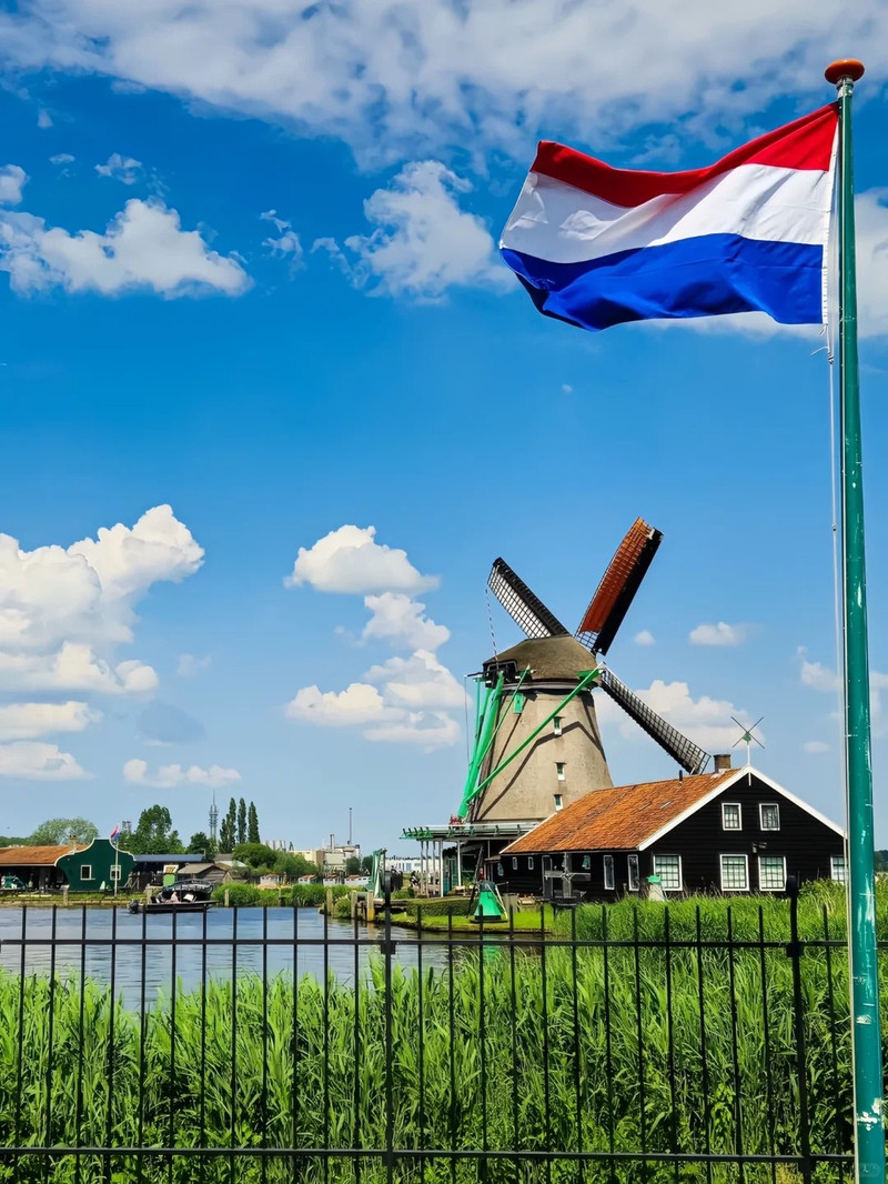 情报摘要(篮球决赛)荷兰、不丹比分数据平台-独家解读 情报摘要(篮球决赛)荷兰、不丹比分数据平台-独家解读