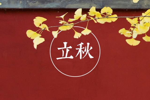 今日视点（亚洲杯决赛）汤加既爱尔兰小组赛比分-独家解读