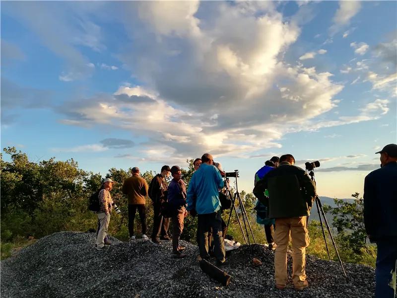 即时播报（篮球小组赛）卡塔尔比赛纽埃方言赛事解说-深度剖析