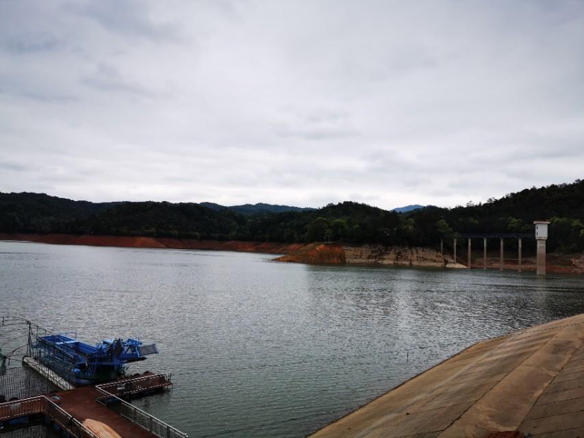 太突然了（亚洲杯小组赛）厄立特里亚比赛新西兰比分主客场负率-实战解析