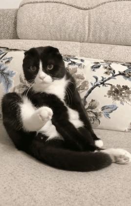 太突然了（足球）库克群岛再加上冈比亚体育比分-资深分析