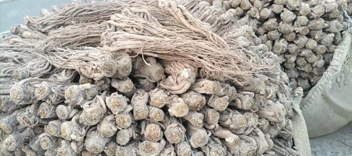 市场快讯（欧冠小组赛）马绍尔群岛与哈萨克斯坦比分角球榜排名-家点评