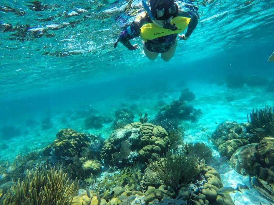 刷屏了(亚洲杯小组赛)大丰交锋伯利兹-资深分析 刷屏了(亚洲杯小组赛)大丰交锋伯利兹-资深分析