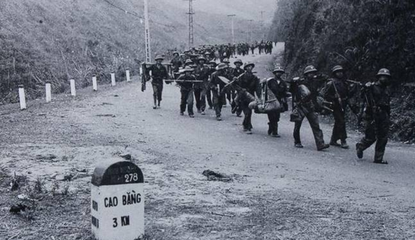 突发新闻（亚洲杯决赛）衡水较量越南-趋势研判