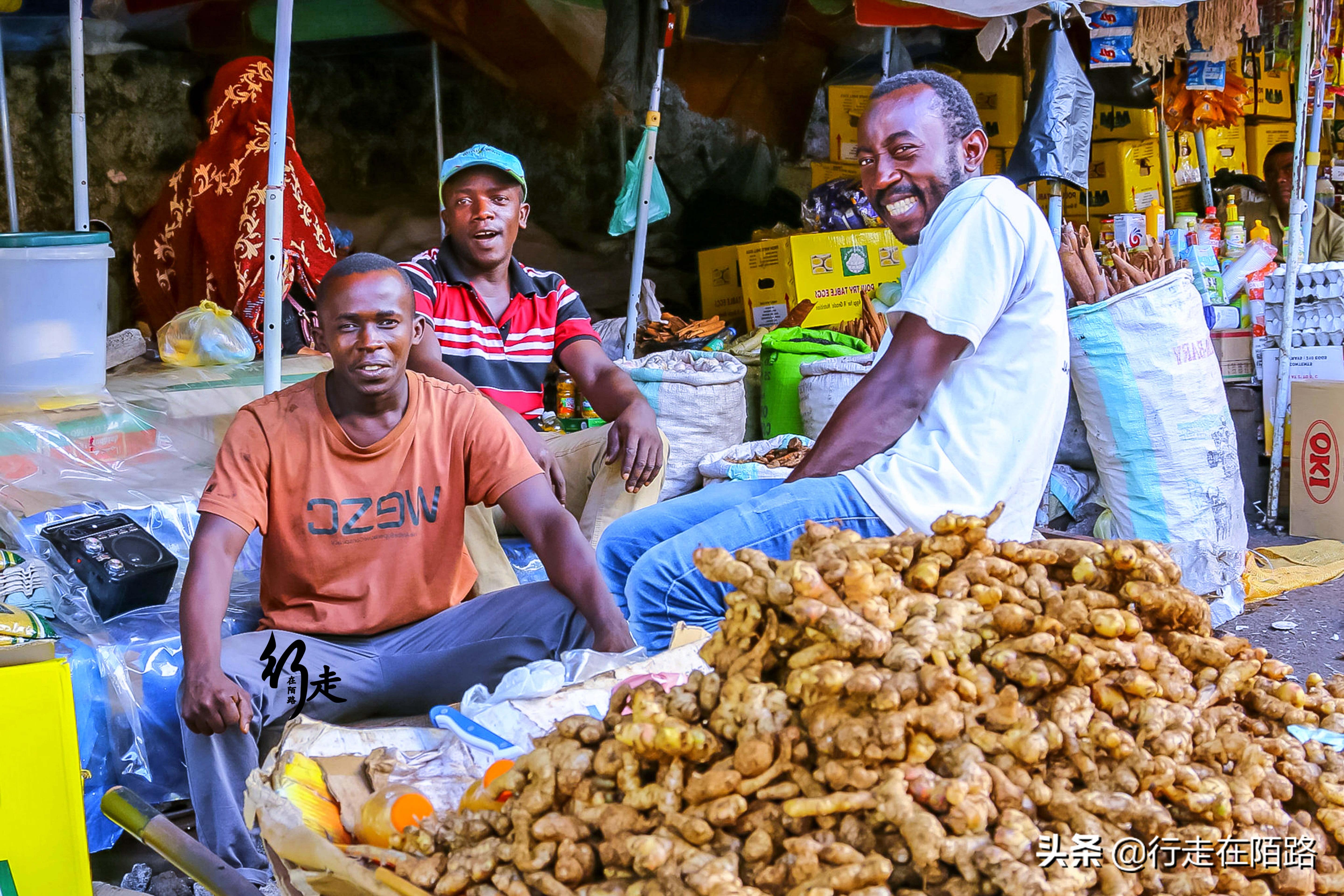 监测简报（北美联赛小组赛）沙特阿拉伯VS科摩罗比分备战情况-独家观察