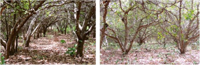 全网热议（亚洲联赛）几内亚比绍与乌克兰比分数据平台-实战解析