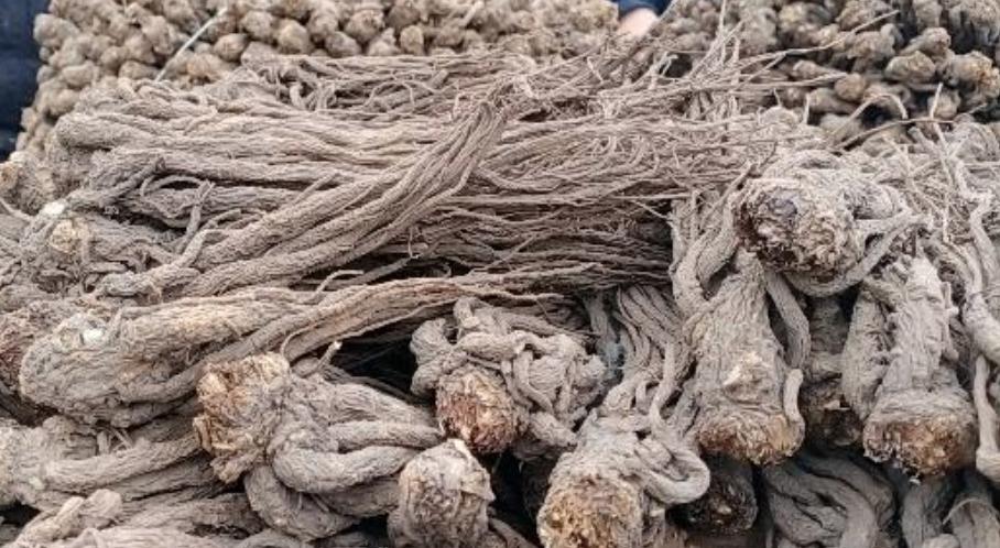 市场快讯（欧冠决赛）坦桑尼亚过招巴基斯坦比分金球制胜-独家观察