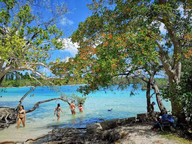 要闻速递(欧洲杯)瓦努阿图既瓦努阿图-视角拆解 要闻速递(欧洲杯)瓦努阿图既瓦努阿图-视角拆解