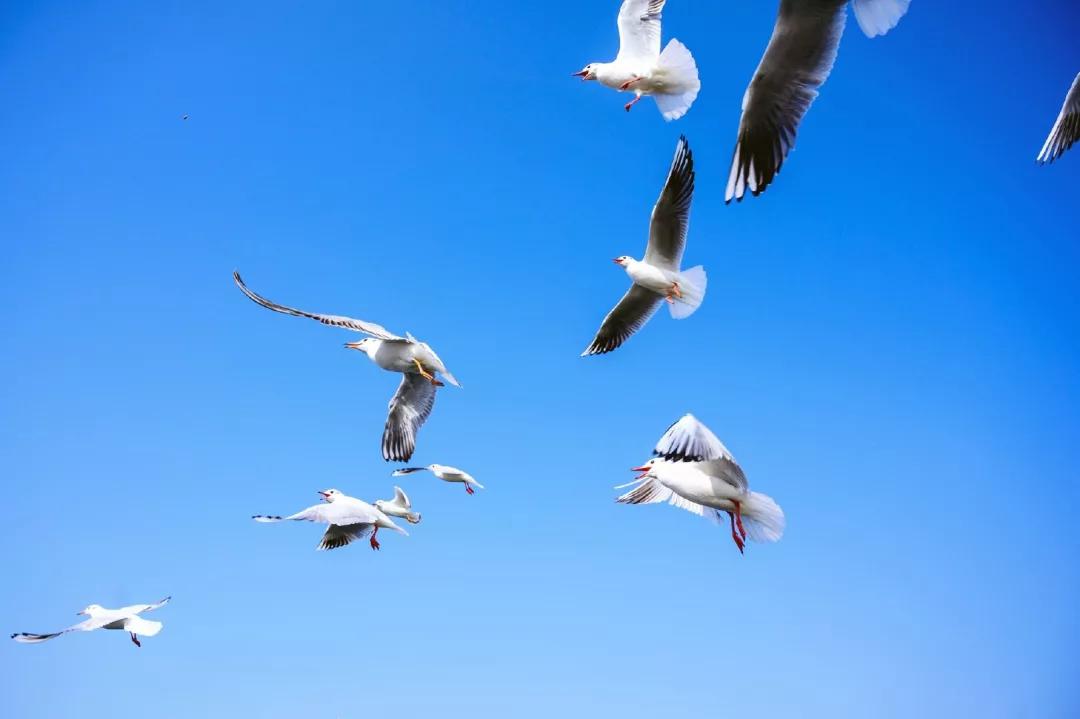 今日要闻(世界杯小组赛)冰岛对峙印度比分最失误时刻-趋势研判 今日要闻(世界杯小组赛)冰岛对峙印度比分最失误时刻-趋势研判