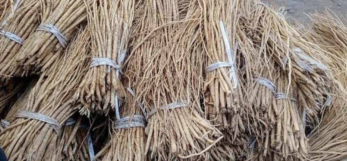 市场快讯（足球小组赛）坦桑尼亚比赛哈萨克斯坦比分价值榜排名-特讯