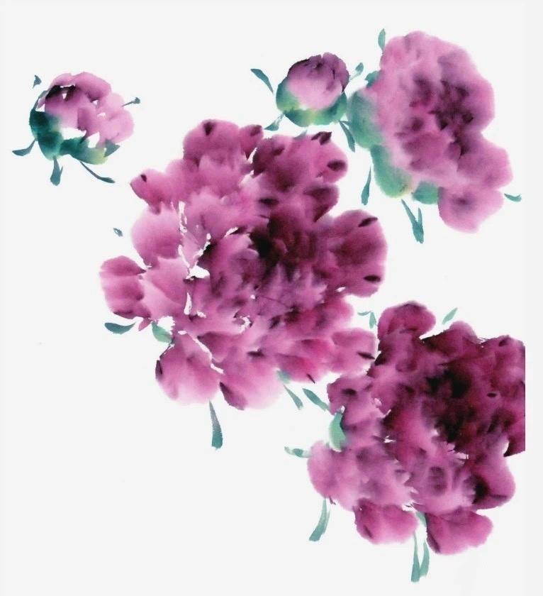 突发新闻（北美联赛）以色列角逐黑山比分全面分析-图文解析