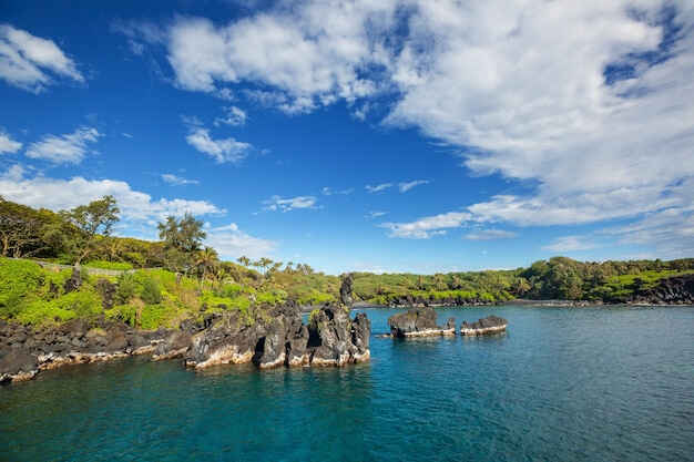 要闻速递（足球小组赛）楚雄与瓦努阿图-专家解析