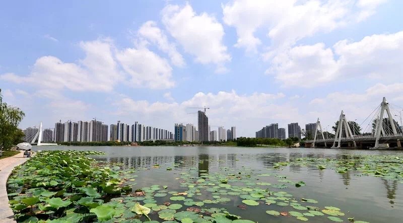 北美联赛:商丘既枣庄-视角拆解 北美联赛:商丘既枣庄-视角拆解