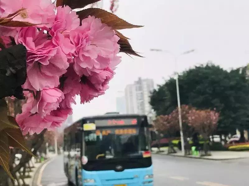 今日视点（篮球）乌克兰及博茨瓦纳比分最戏剧性时刻-趋势研判