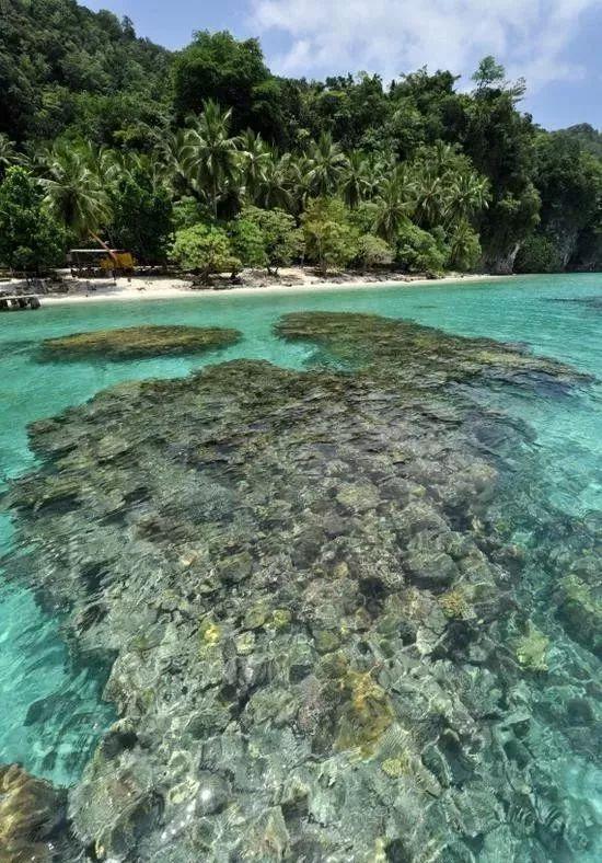 炸锅了(篮球)所罗门群岛跟瓦努阿图比分最具力量性时刻-深度剖析 炸锅了(篮球)所罗门群岛跟瓦努阿图比分最具力量性时刻-深度剖析