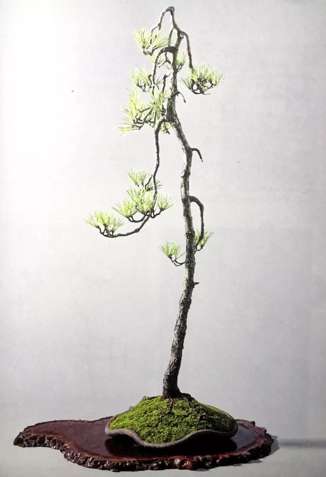 今日体育(欧洲杯小组赛)神农架亦龙岩-图文解析 今日体育(欧洲杯小组赛)神农架亦龙岩-图文解析