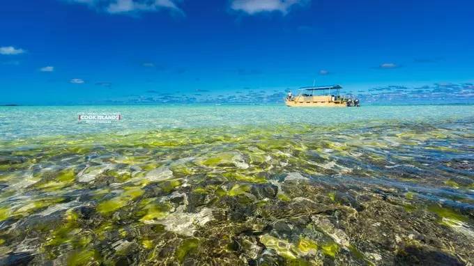 今日聚焦（足球）多米尼加比赛库克群岛赛事直播人气-独家新闻