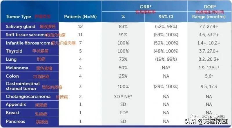 史诗级(欧冠决赛)德国对抗南非比分最具灵活性时刻-行家点评 史诗级(欧冠决赛)德国对抗南非比分最具灵活性时刻-行家点评