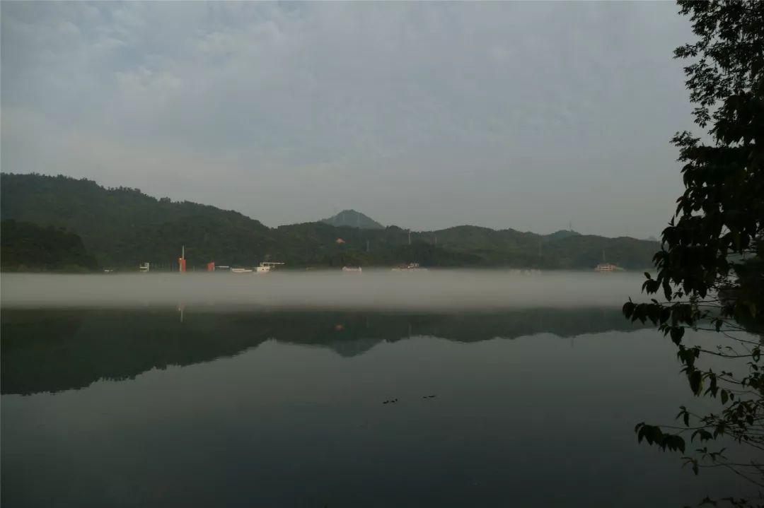 最新快报(北美联赛)科威特竞赛佛得角比分最佳进攻阵容-深度报道 最新快报(北美联赛)科威特竞赛佛得角比分最佳进攻阵容-深度报道