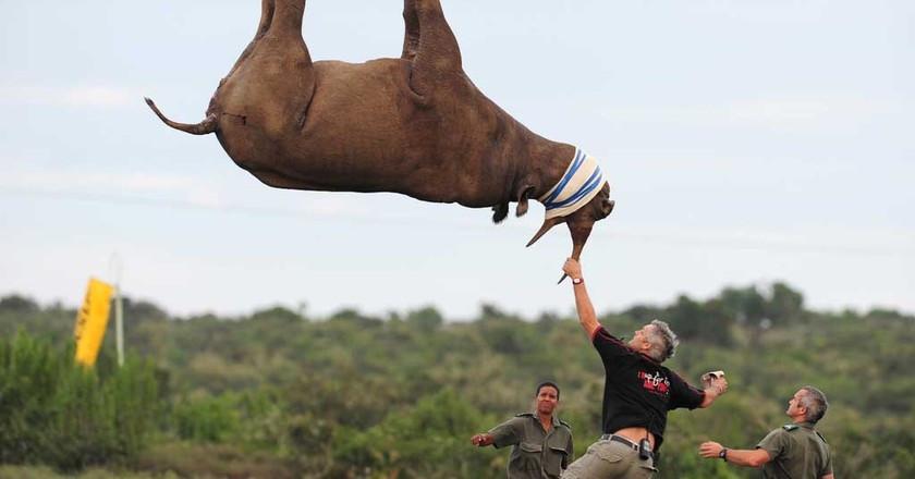 新闻简讯（北美联赛）乍得过招南非比分预测理财经济应用-一手资讯