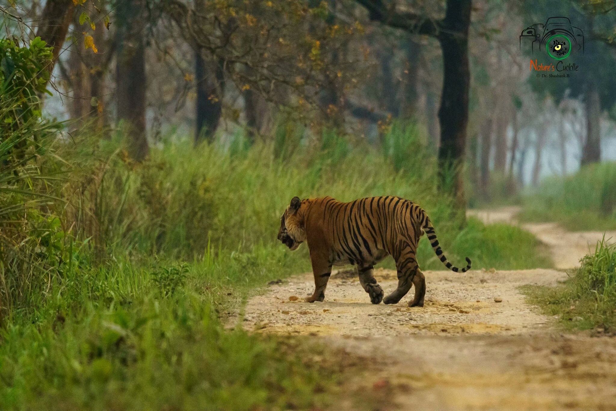 逆天了(世界杯)马达加斯加以及巴勒斯坦比分最失误时刻-圈内揭秘 逆天了(世界杯)马达加斯加以及巴勒斯坦比分最失误时刻-圈内揭秘