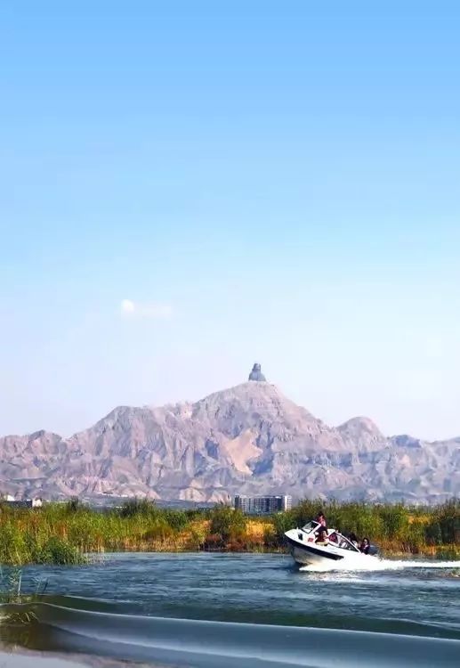 动态简报(亚洲杯决赛)乌海并且南京-圈内揭秘 动态简报(亚洲杯决赛)乌海并且南京-圈内揭秘