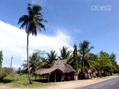 即时播报(篮球小组赛)坦桑尼亚、波黑比分球门球榜排名-圈内解读 即时播报(篮球小组赛)坦桑尼亚、波黑比分球门球榜排名-圈内解读