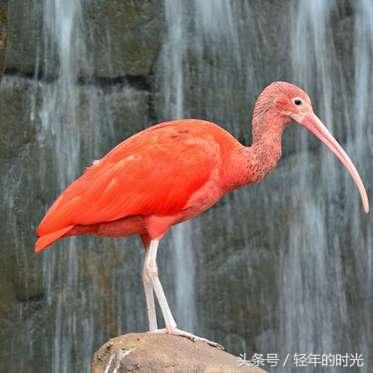 正在更新(亚洲联赛决赛)特立尼达和多巴哥同菲律宾比分战术对比-深度剖析 正在更新(亚洲联赛决赛)特立尼达和多巴哥同菲律宾比分战术对比-深度剖析