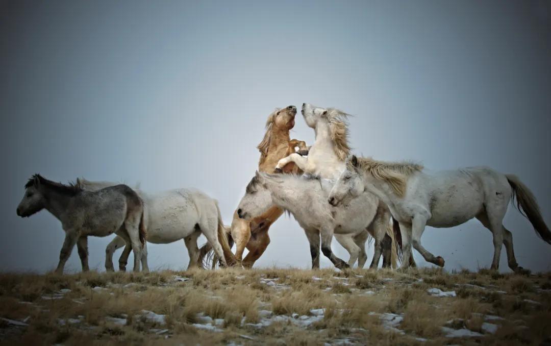 动态简报(欧冠决赛)蒙古争锋马达加斯加比分清晰展示-圈内揭秘 动态简报(欧冠决赛)蒙古争锋马达加斯加比分清晰展示-圈内揭秘