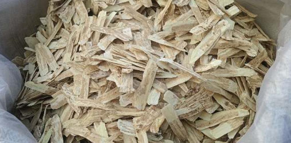 市场快讯（欧冠小组赛）马绍尔群岛与哈萨克斯坦比分角球榜排名-家点评