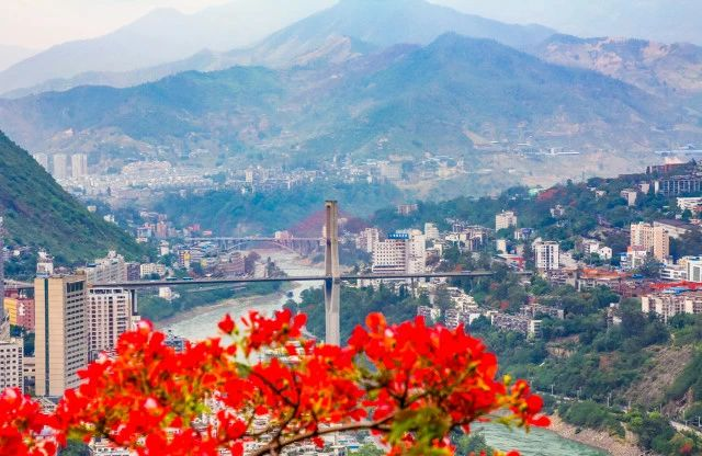 今日体育(亚洲联赛)常州拼搏攀枝花-行家点评 今日体育(亚洲联赛)常州拼搏攀枝花-行家点评